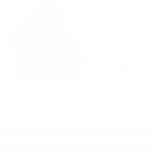 VIDA TERRESTRE